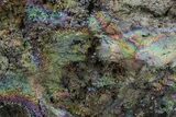 Vibrant Iridescent Hematite After Goethite Formation - Georgia #284375-1